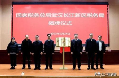 武汉长江爆料最新消息新闻,聚焦突发新闻事件详情  第1张